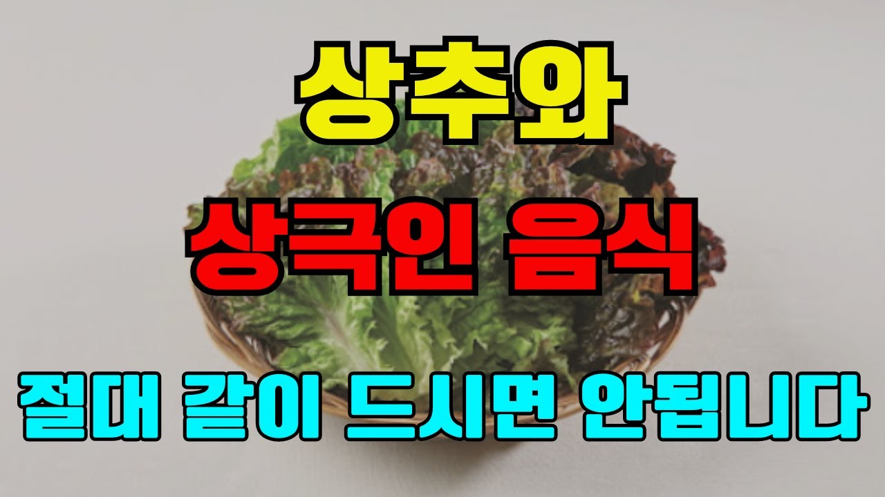 골다공증에 좋은 상추와 궁합이 좋은 음식 2가지 그리고 레시피! 노년기 건강을 위해 먹는 상추-이렇게 드셔야 몸속 염증과 독소가 빠지고, 고혈압, 암, 치매를 예방할 수 있습니다!