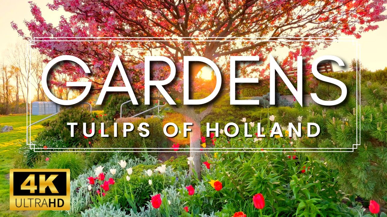 Beautiful Tulip Gardens and Relaxing Music | Amazing Tulip Garden Tour in Holland, Michigan