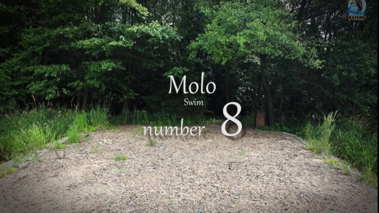 Jezero Katlov -  Molo č.  8