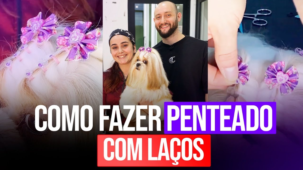 Como Colocar Lacinho no Cachorro na prática - Junior Borja