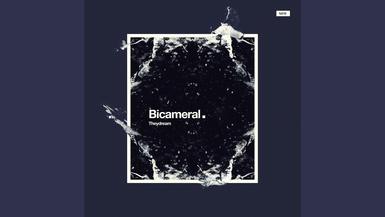 Bicameral