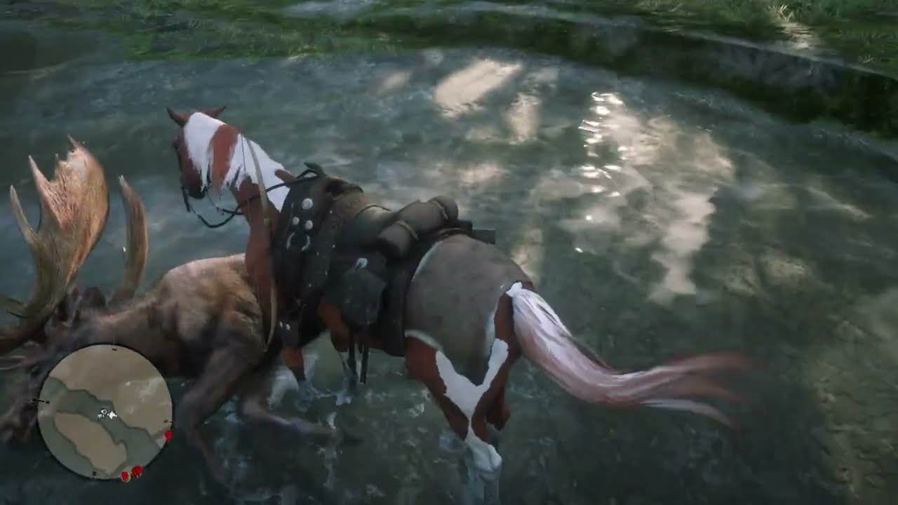 RDR2 Moose hunting at Brandywine Drop 2 perfect pelts