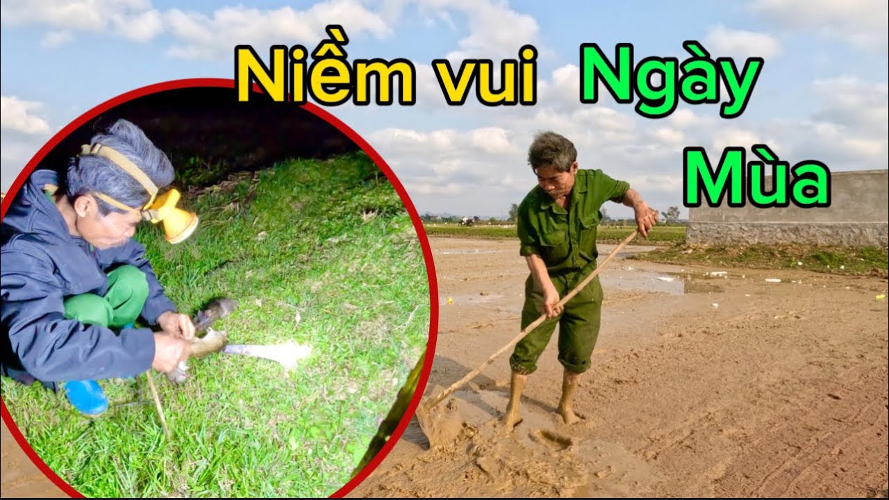 1 Ngày Sinh Tồn Trên Cánh Đồng Gieo Mạ, Làm Đất, Bắt Cá, Bẫy Chuột Ngày Mùa | HUY ANH TV