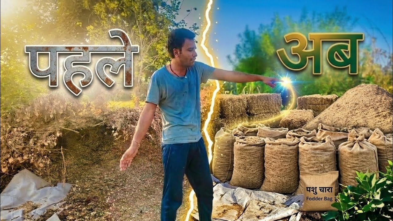 2 घंटे की मेहनत और चारे का शानदार ढेर तैयार! 💪 गांव का देसी तरीका