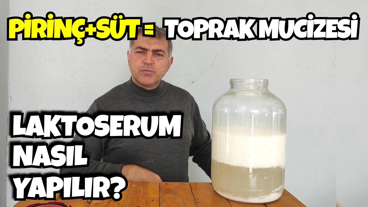 Sadece Pirinç Suyu ve Sütle Toprağı Canlandırdım! (Laktoserum mucizesi)
