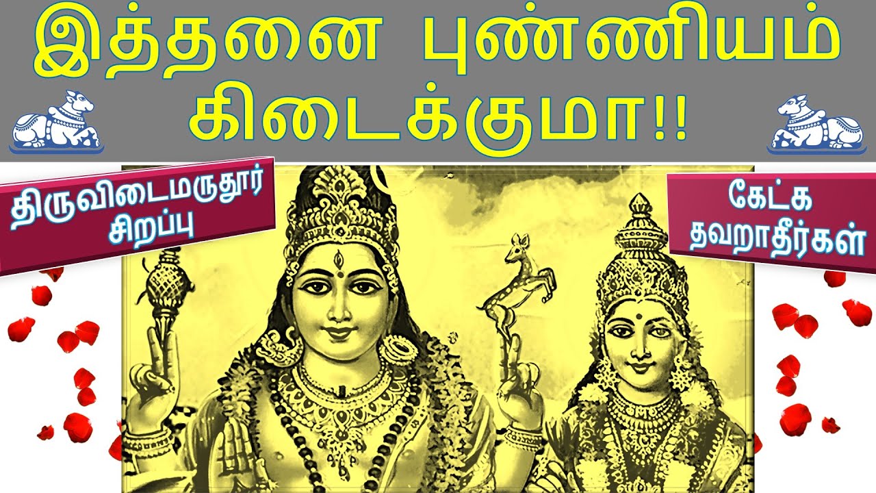 இத்தனை புண்ணியம் கிடைக்குமா!! திருவிடைமருதூர் சிறப்பு |  Thirumurai Training | SivaakaraSwamigal