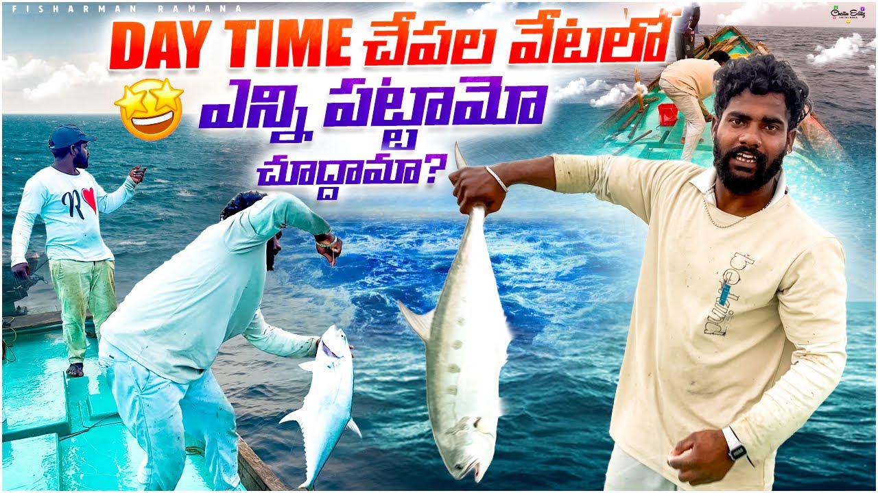 #fish #Fisherman #🌊🌫️ #beachfishing #fishing #fishingmethods #fishingtechniques #fishing #fishing