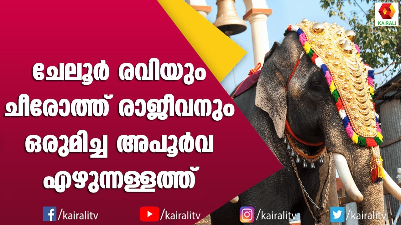 ചീരോത്ത് രാജീവിന്റെ ഉണങ്ങാത്ത മുറിവ് ഒപ്പിയെടുത്ത ക്യാമറകണ്ണുകൾ | E for Elephant | Kairali TV