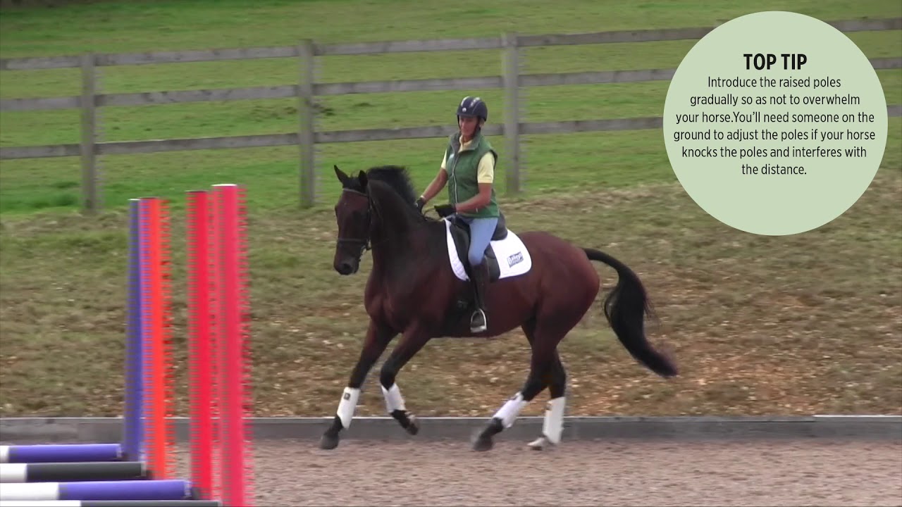 Raised poles with Mary King | Horse&Rider and Baileys Horse Feeds