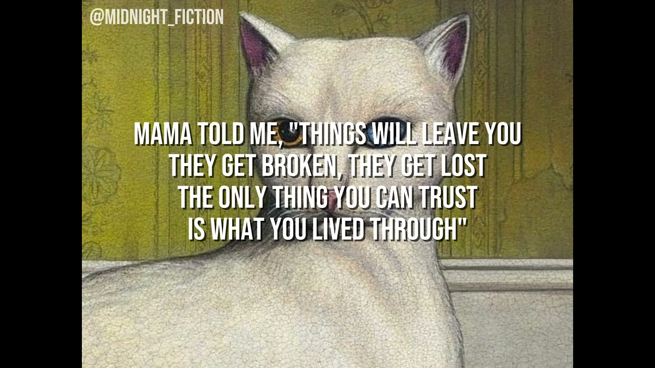 That white cat - Mitski lyrics