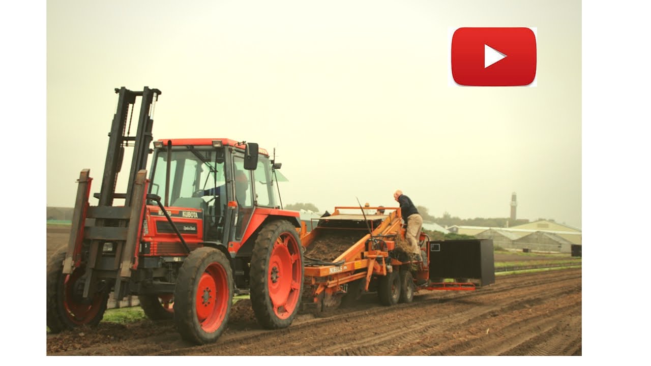 Gladiolen rooien ( Fendt310 , kubota M7580+nobels rooimachine}noordwijkerhout | Agrar-In-Beeld