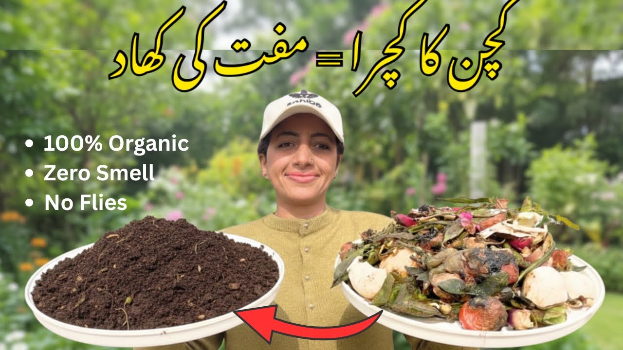 How to Make Compost Fertilizer from Kitchen Waste at Home | Fast, Easy & Free Organic Fertliser