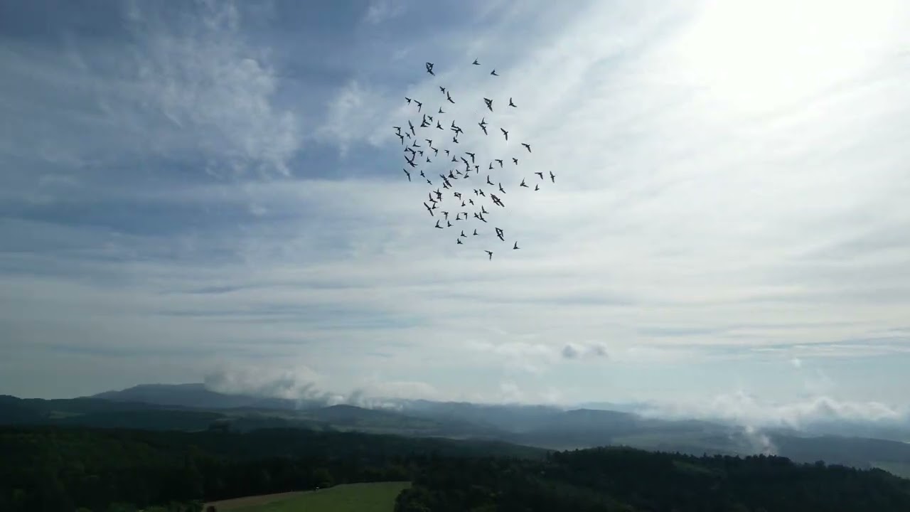 Hochlass Nussendorf