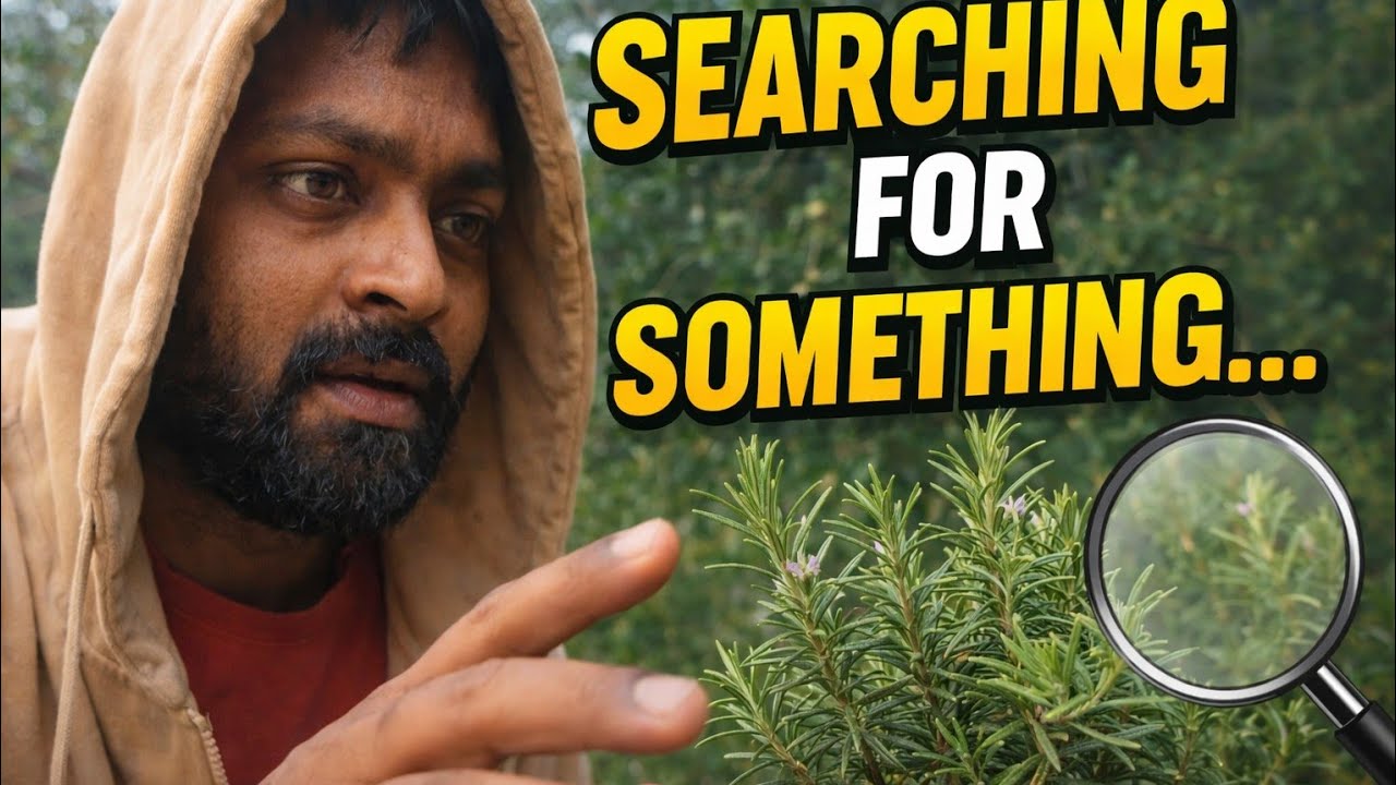 Rosemary ki talash!Adhori ya hogi pori!🤯🥵#dailyvlog #youtubevlog #familyvlog #trendingvideo #youtube