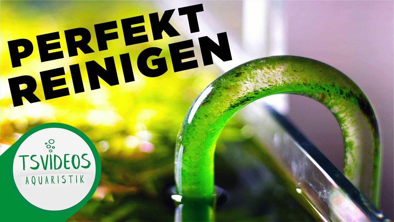 Veralgte Filterein- und ausl&auml;ufe - Glasware reinigen!