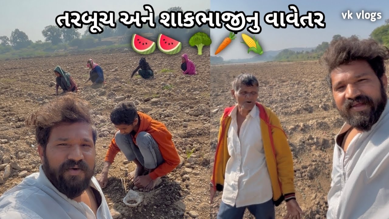 તરબૂચ 🍉અને શાકભાજીનું વાવેતર    🥒🍅🥦🥬પાનમ નદીમાં // દેવગઢ બારિયા // Vk vlogs 