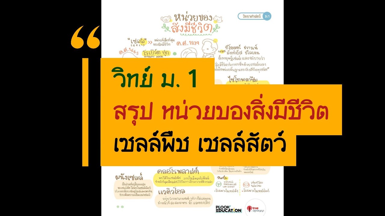 สรุปวิทย์ ม.1 หน่วยของสิ่งมีชีวิต เซลล์พืช เซลล์สัตว์ #วิทยาศาสตร์