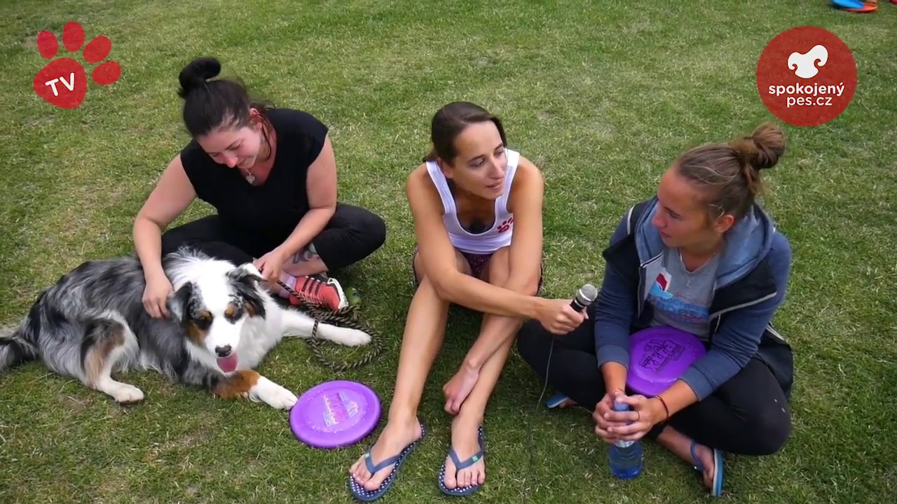 Tlapka TV - Dogfrisbee