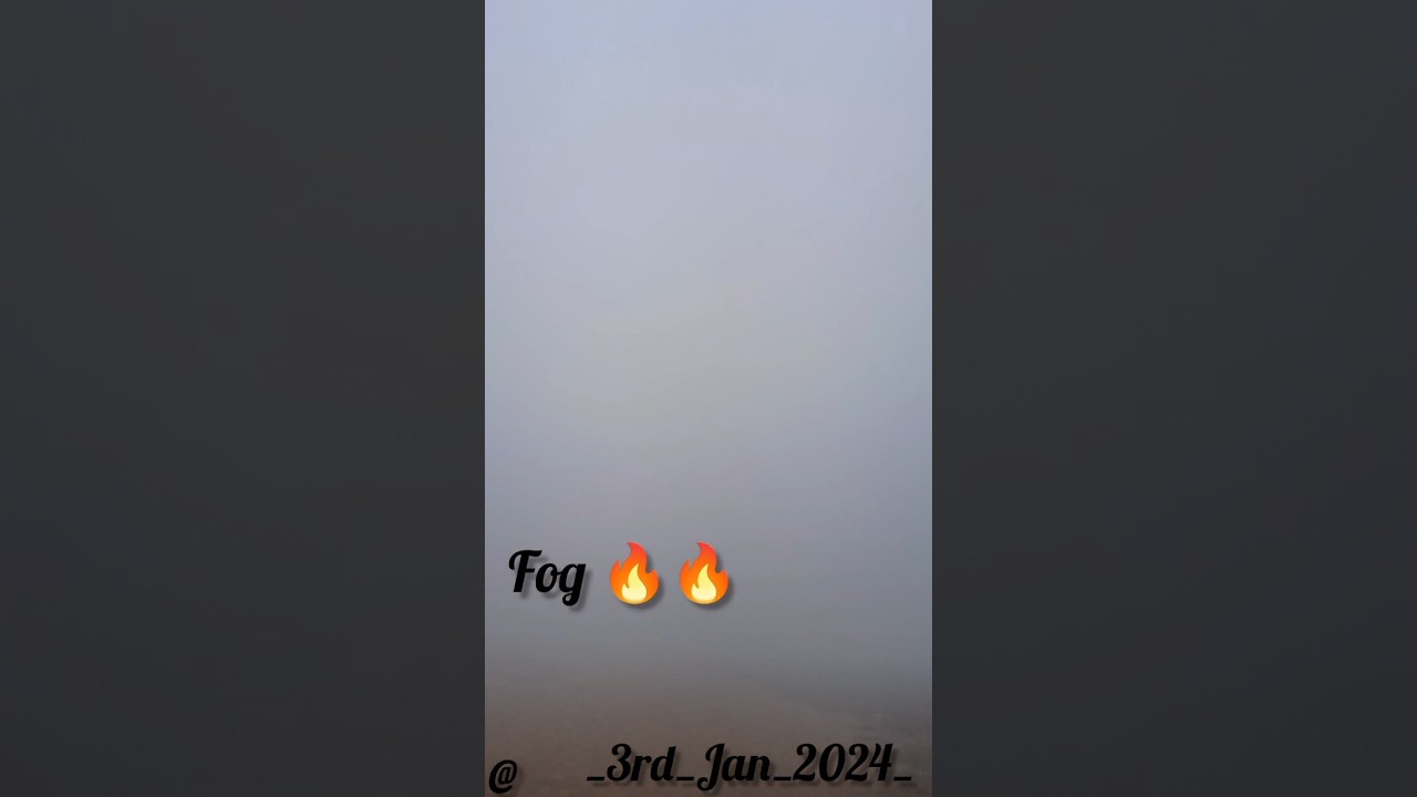the most fog in this season #fog #video #cold #winter #news #shorts