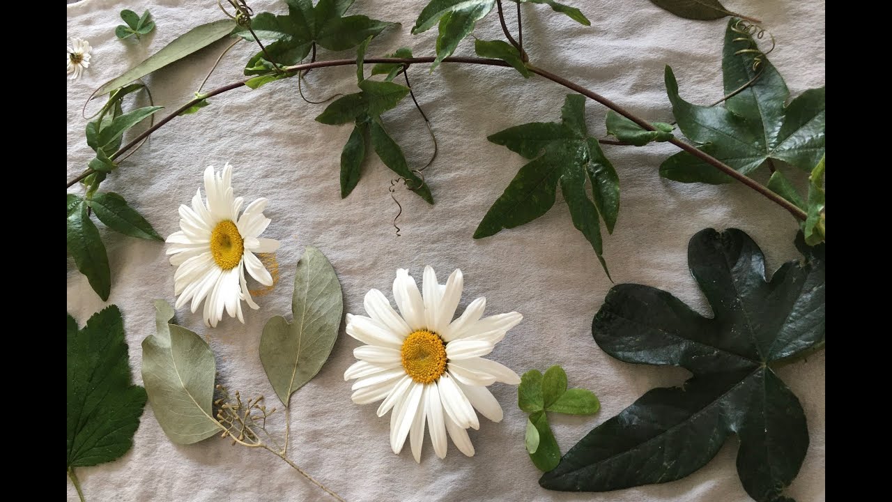 Eco print / Botanical print demonstration