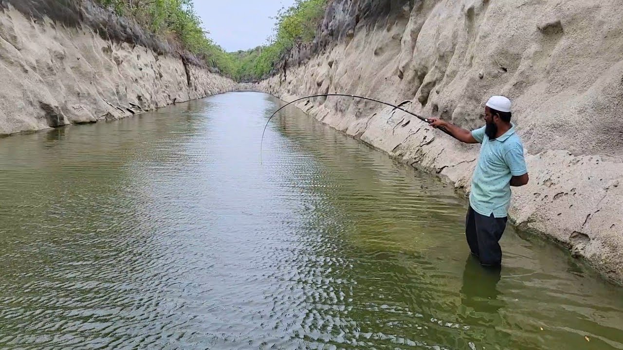 "SMALL SETUP,BIG FIGHT-LATEST BAAMFISH CATCHING IN VILLAGE STREAM "FEW SPOTS FISHING IN INDIAN eel