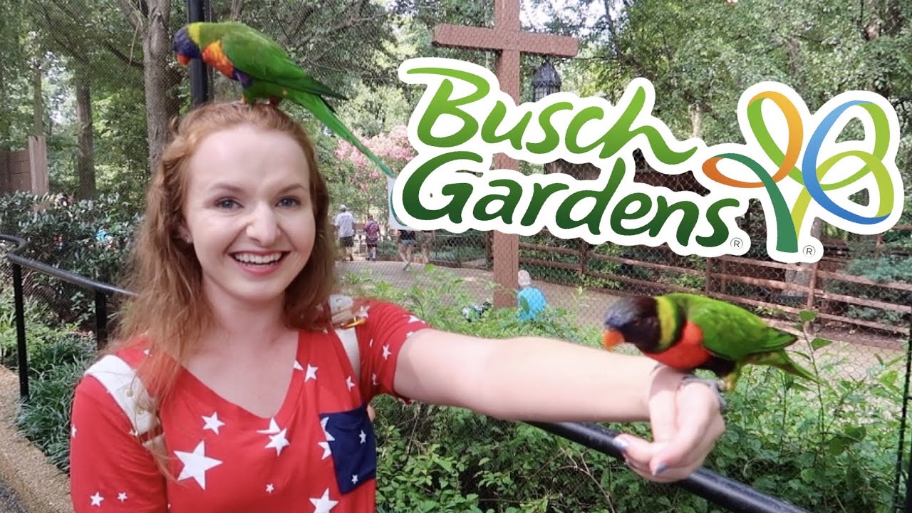 BIRDS ON MY HEAD & Animal Encounters at Busch Gardens! Busch Gardens Williamsburg Vlog Day 2 Part 1