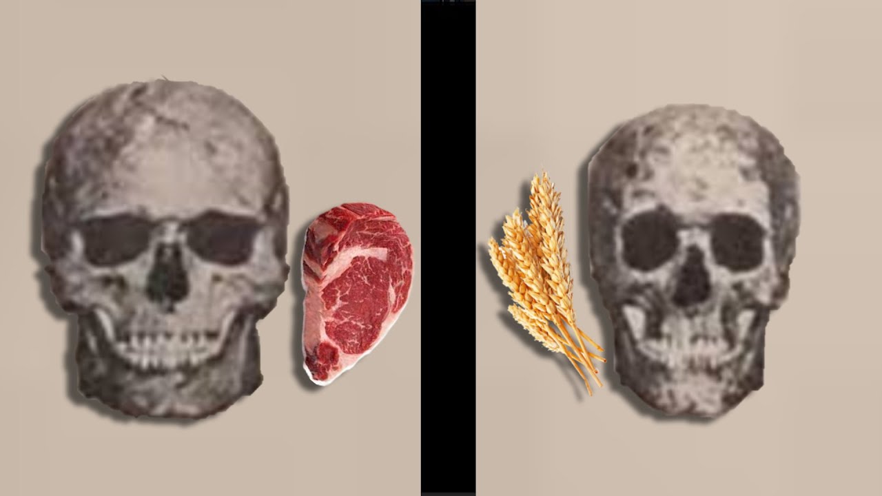 Как сделать «Skullmaxx»