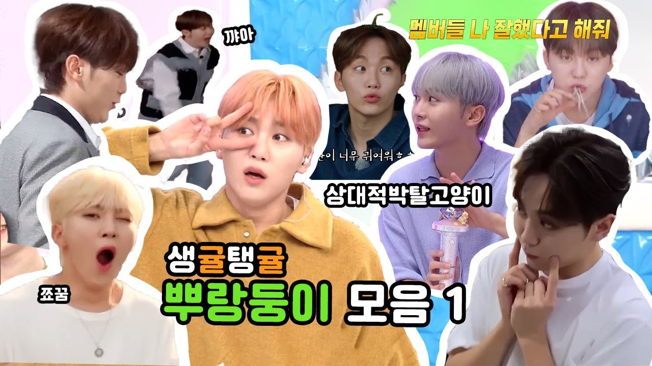 [세븐틴] 귀여운 승관이 모음 1 ㅣ 상대적박탈고양이, 쬬꿈, 고마오 형, 동그랑땡, 애교둥이 ㅣ Cute Seungkwan Compliation