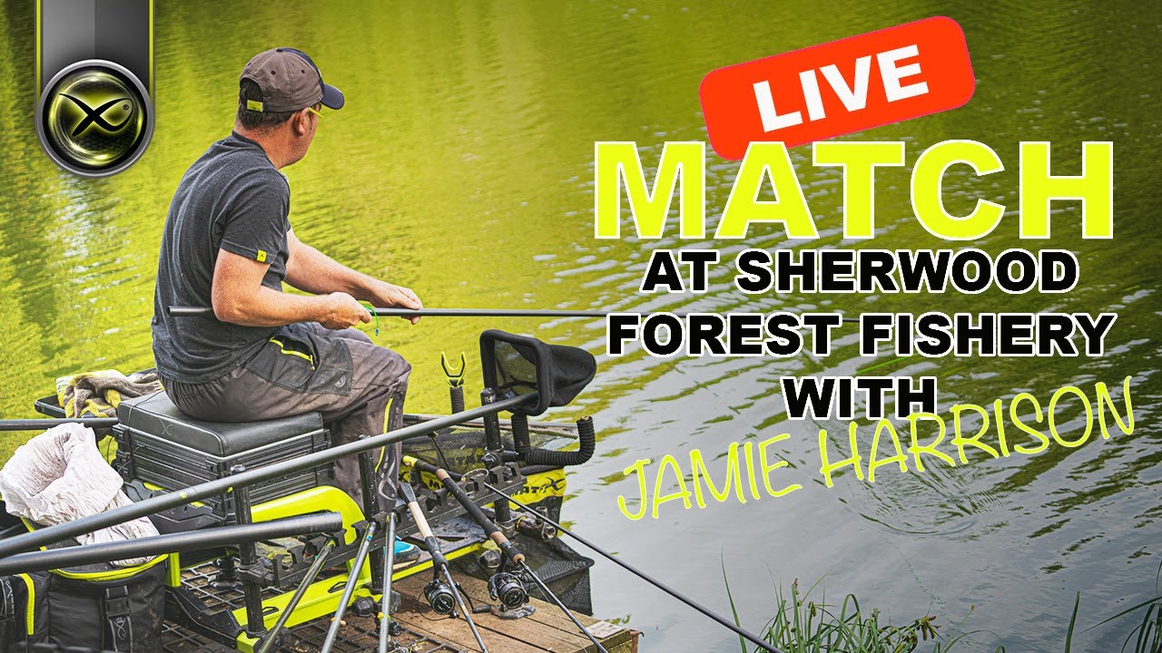 LIVE MATCH! (With JAMIE HARRISON at Sherwood Forest Fishery)