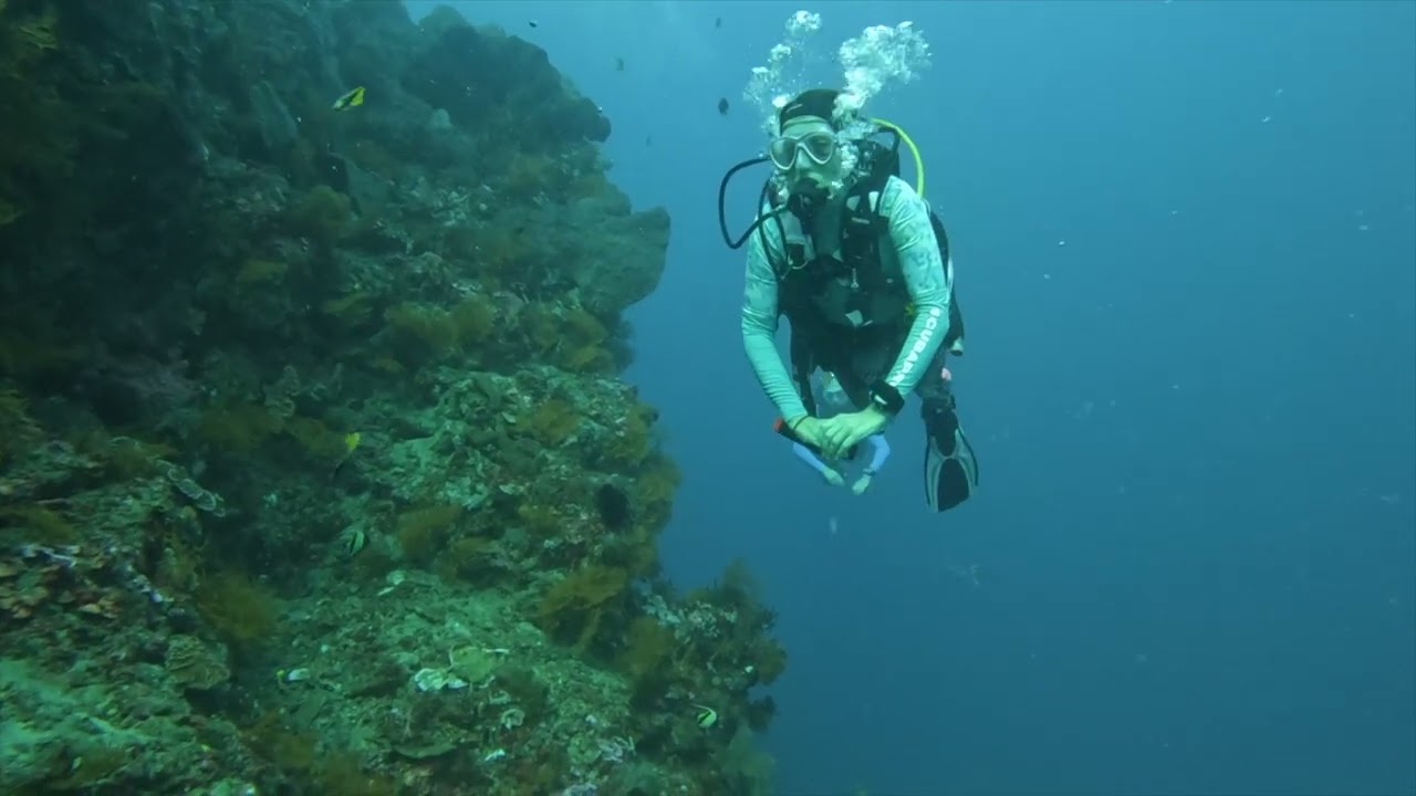 Fun Dives Fanny & David Amed Bali Abyss