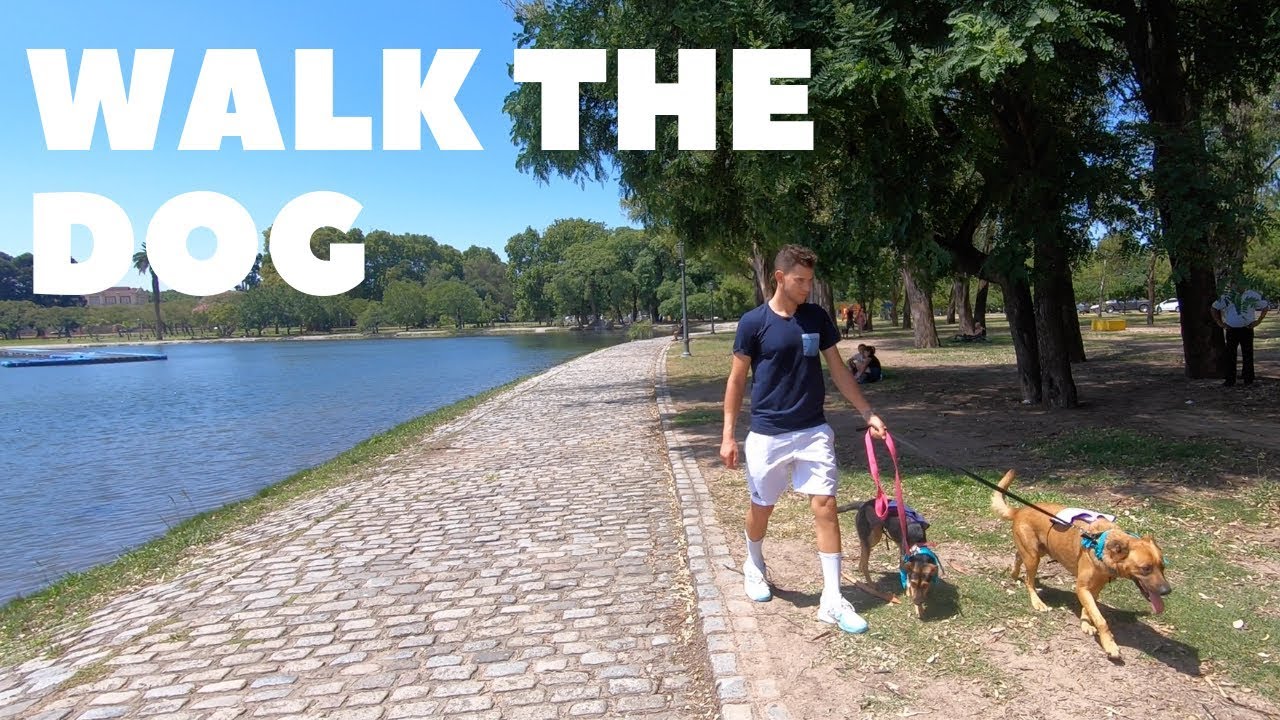 DOG SITTER for a day in Buenos Aires - Dominic Thiem