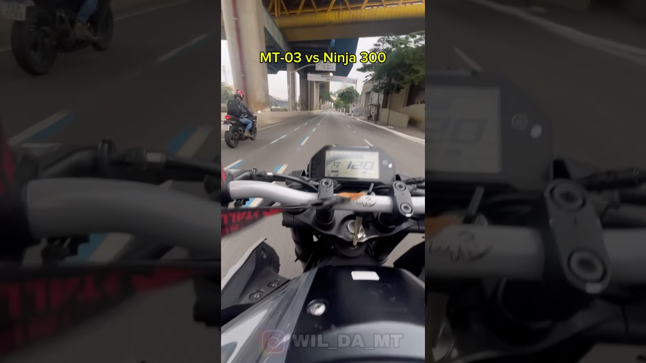 MT-03 vs Ninja 300 #motovlog #mt03 #grau #grauecorte #wildamt