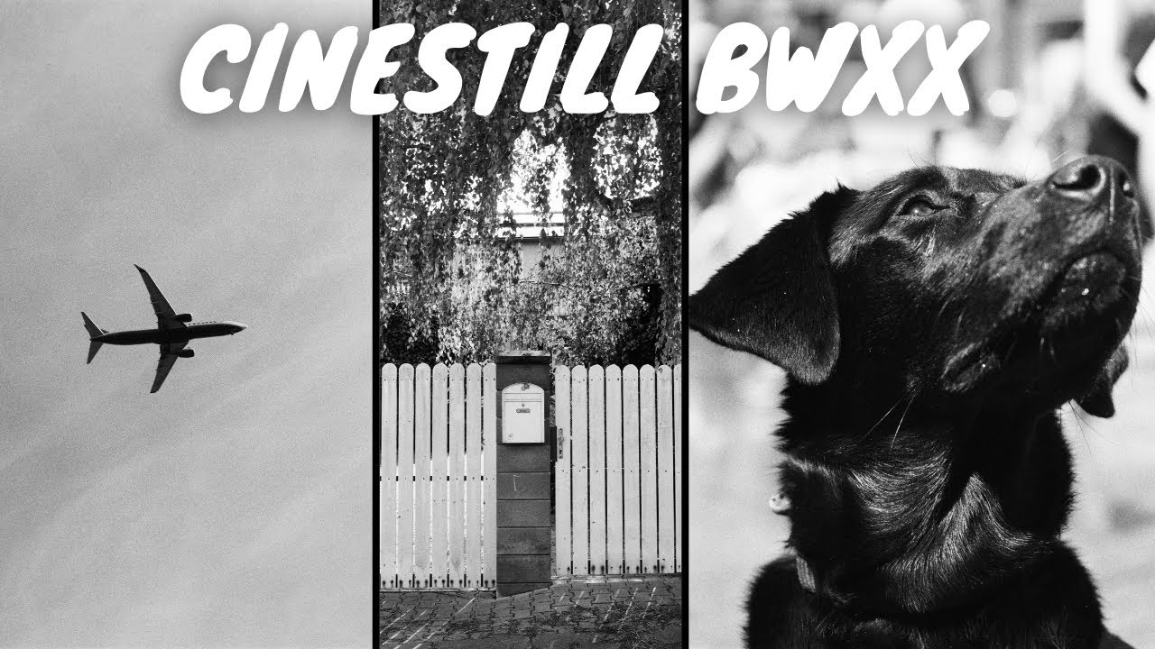 Exploring the classic cinematic look with CINESTILL BWXX in Prague | Film stock review