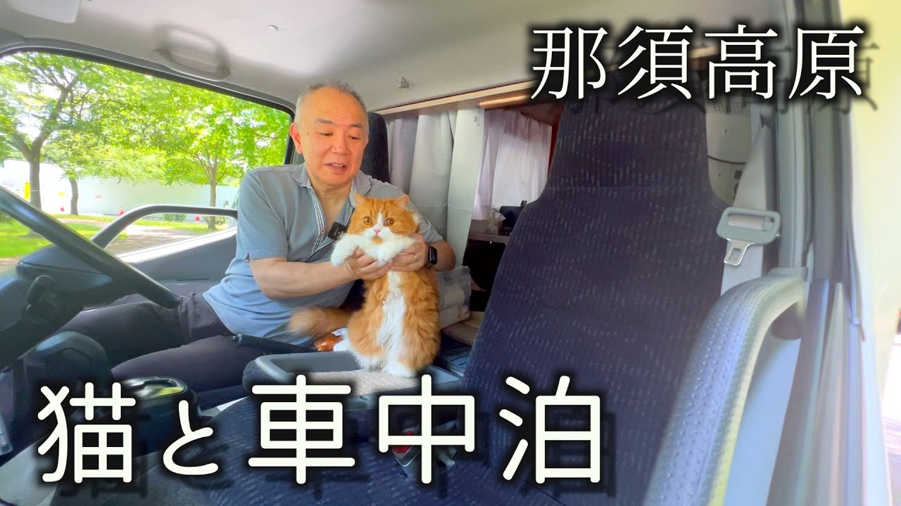 【猫とキャンピングカーで車中泊】那須高原の牧場で激うまソフトを食べる／道の駅で猫さんぽ