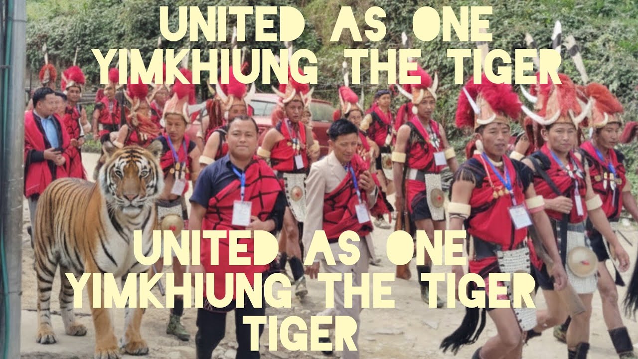 United as one// (Yimkhiung the tiger)