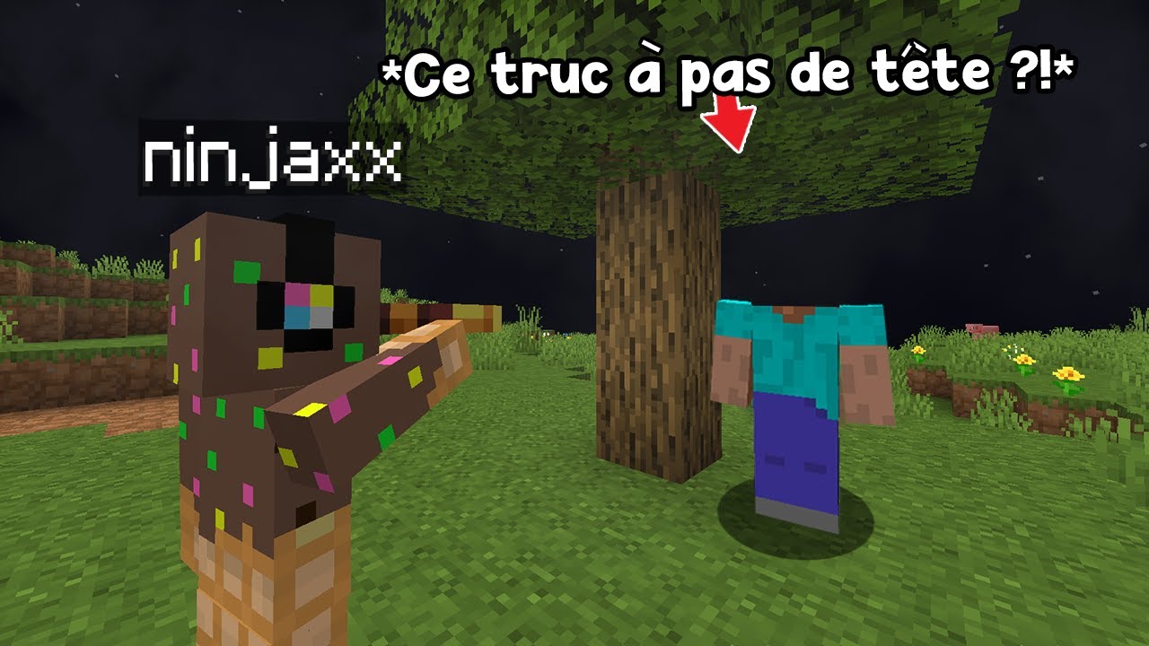 Ne jouez jamais à cette Version de M̝̘͖i̘͔̼n̡̟̘e͎͉͜c̡̦̼r͙̟̪a͍͙̼f̠̟͎t͔͙.. (vraiment)