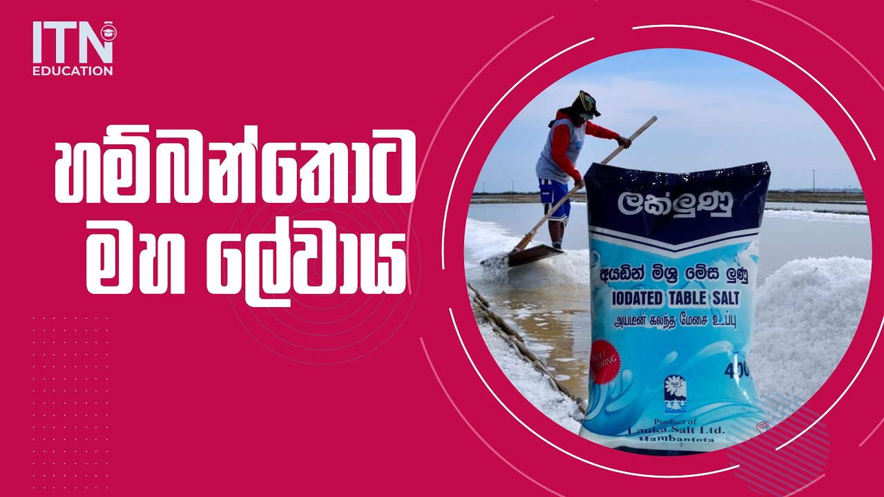 හම්බන්තොට මහ ලේවාය | Hambantota Maha Lewaya