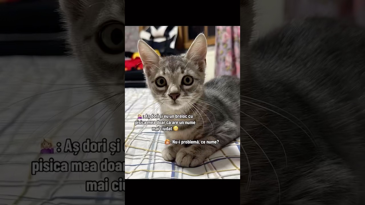Pentru comenzi, vă aștept pe Instagram 🧡 