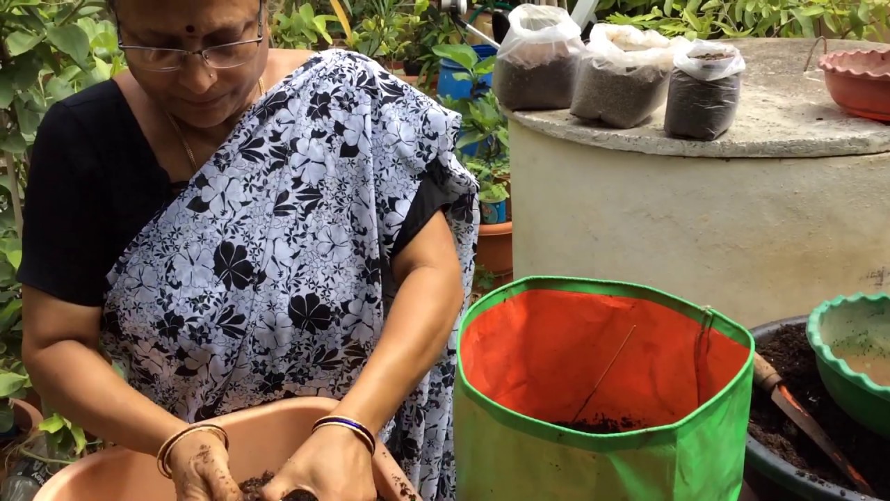 మట్టి మిశ్రమం & మొక్క పెట్టే విధానం/ Potting Soil mix /complete guide to plant.