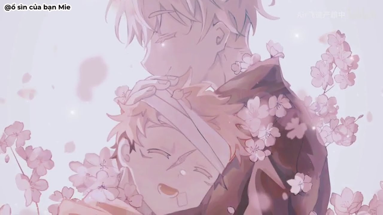 [Vietsub][Jujutsu Kaisen | Gojo Satoru x Itadori Yuji] Hoa Anh Đào Rơi Xuống Biển - Lý Phổ