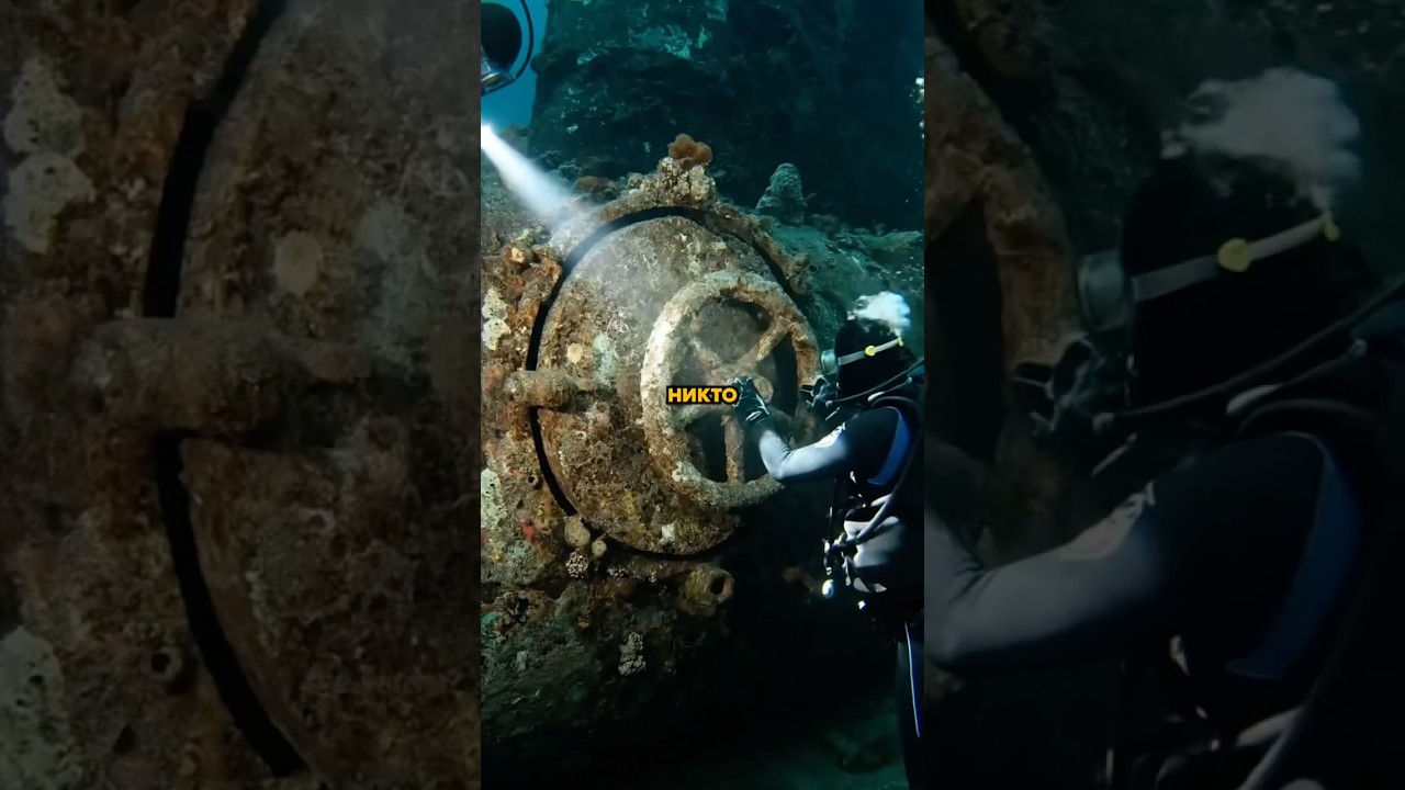 Эта подводная экспедиция чуть не закончилась кошмаром