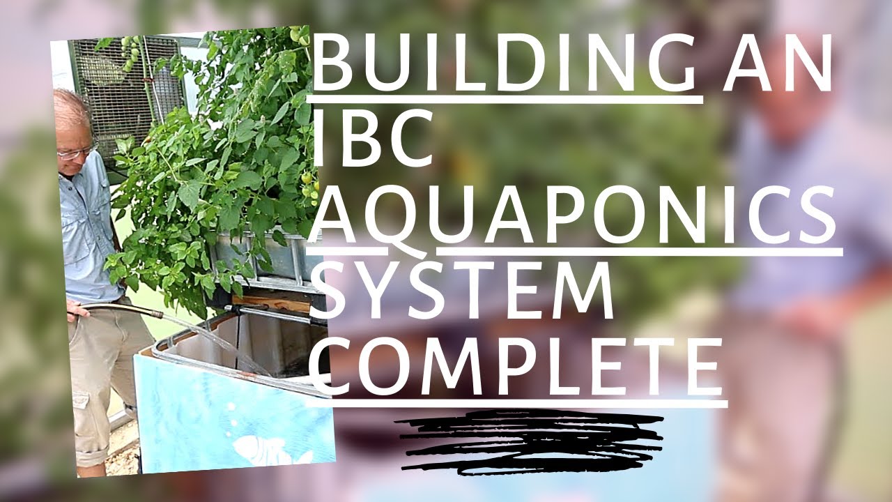 Building an IBC Aquaponics System Complete