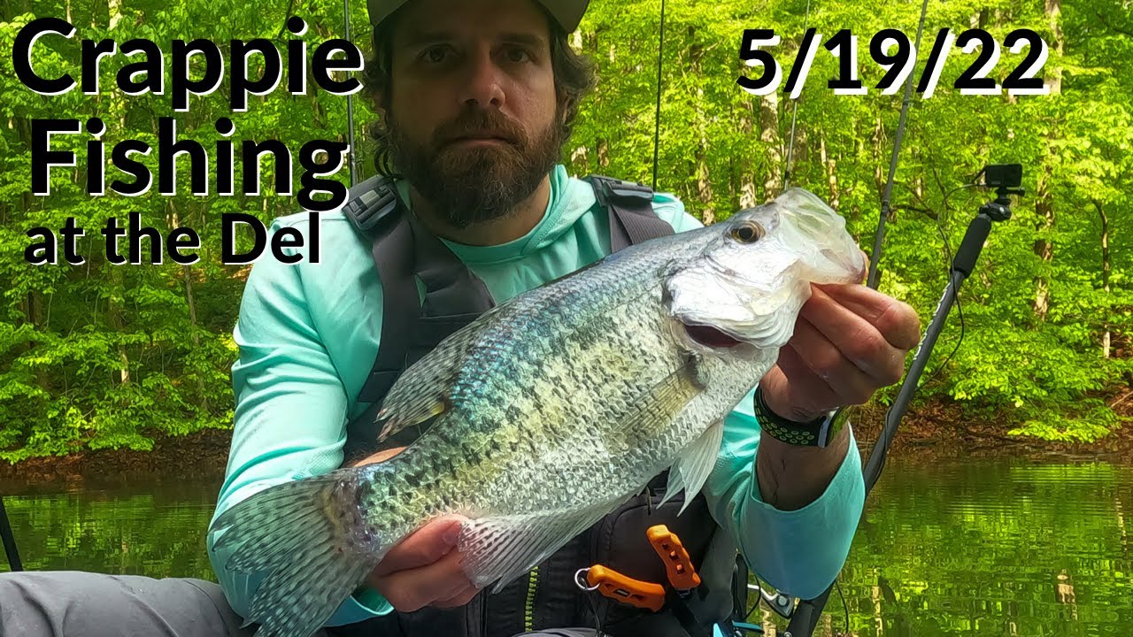 Crappie Fishing at Triadelphia Reservoir - multiple species 5/19/22