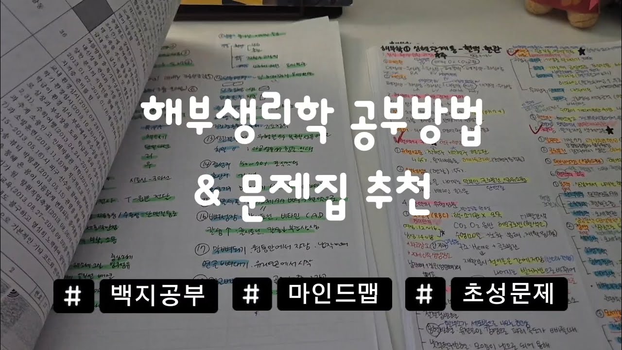 해부생리학 공부방법/문제집추천/간호학과 필기방법