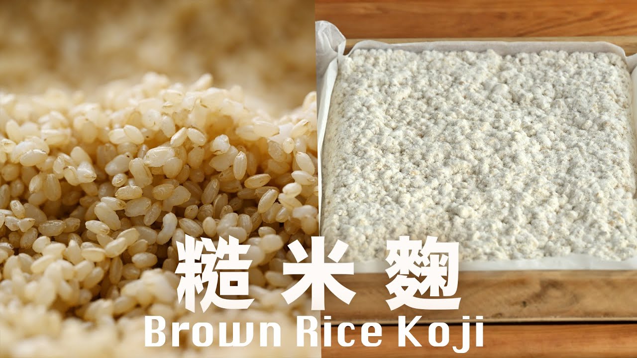 耗時 84 小時 ❇️  把糙米變成萬用魔法調味料 【麴菌系列 003】How to Make Brown Rice Koji