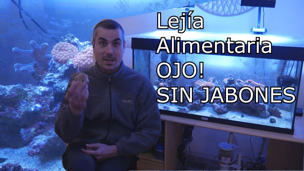 ¿Roca VIVA o roca MUERTA? Como limpié mi roca MUERTA? y la VIVA?