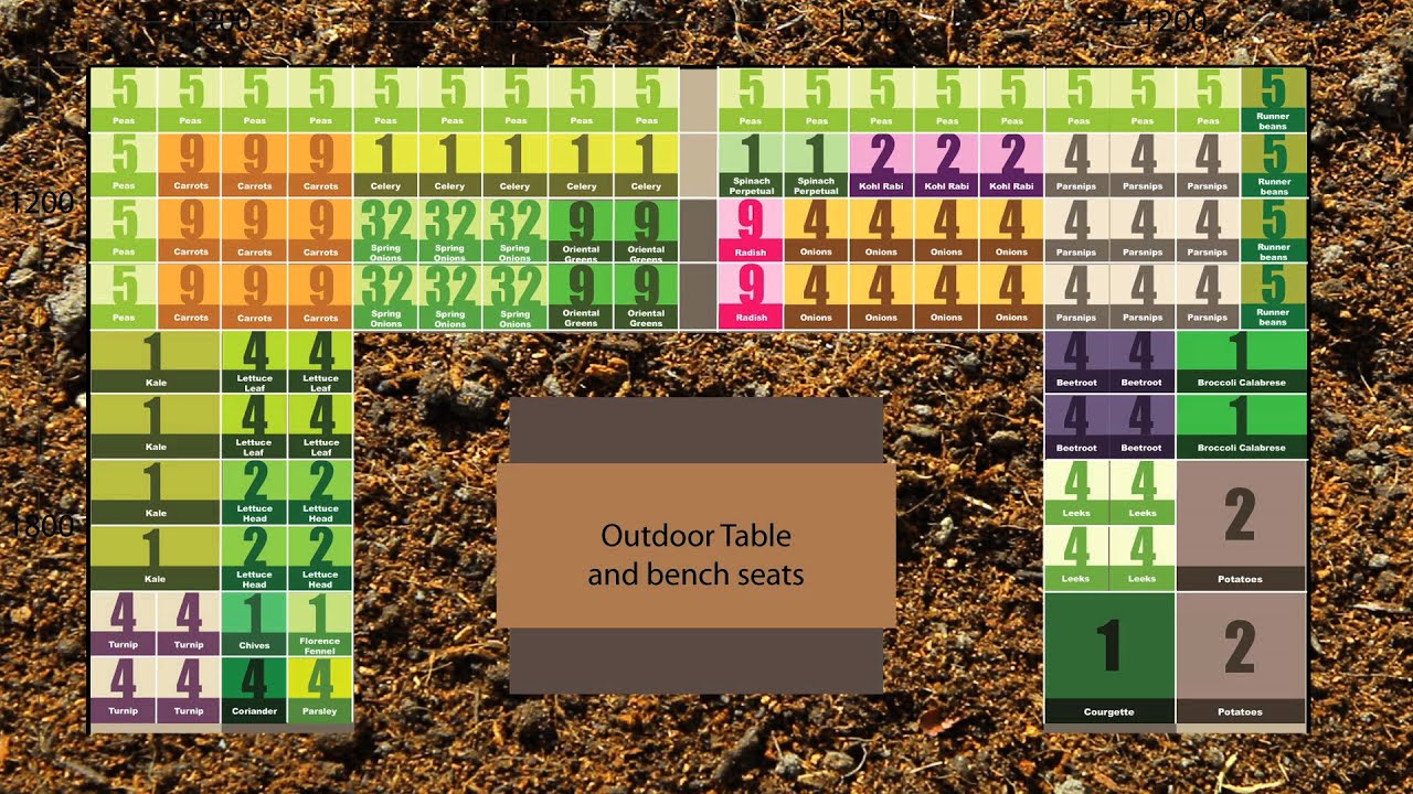 Square Foot Vegetable Gardening - Part one