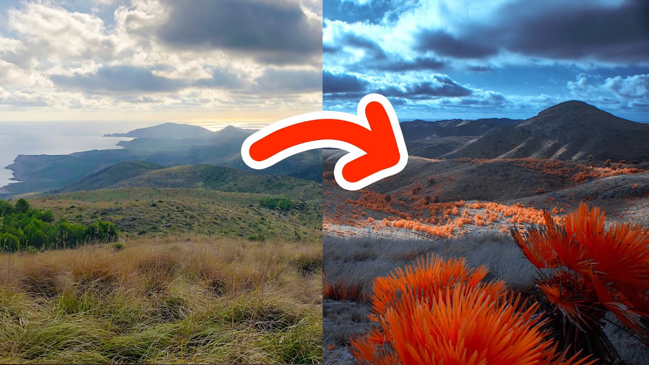 The Weird Power of The Orange Filter.
