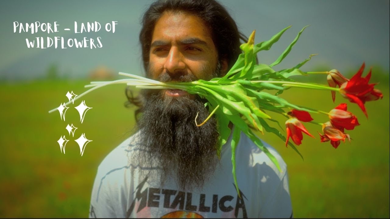 Pampore - The Saffron and wildflower capital of Kashmir