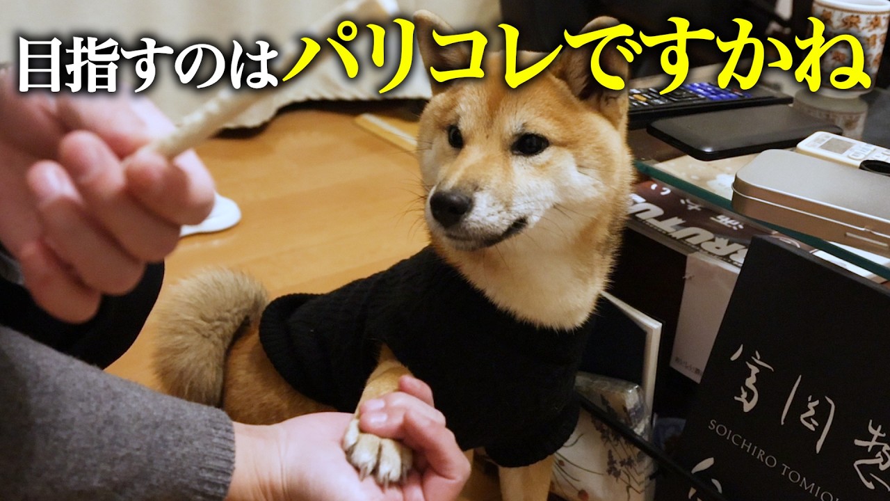 I AM I &times; SOSHIOTSUKI 7/7 &ldquo;パリコレについて&rdquo;